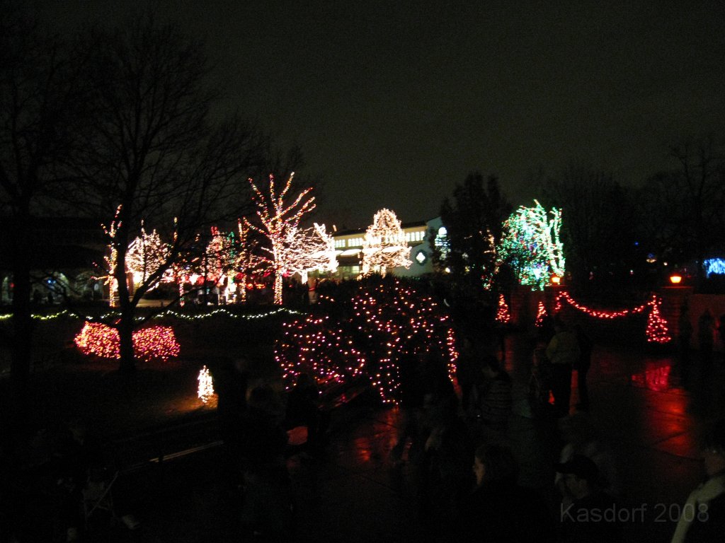 Toledo Zoo Lights 2008 096.jpg - The regular visit to the Toledo Ohio Zoo to see the Christmas Lights displays. New this trip were the "Dancing Lights", displays flashing in time with the Christmas Songs.